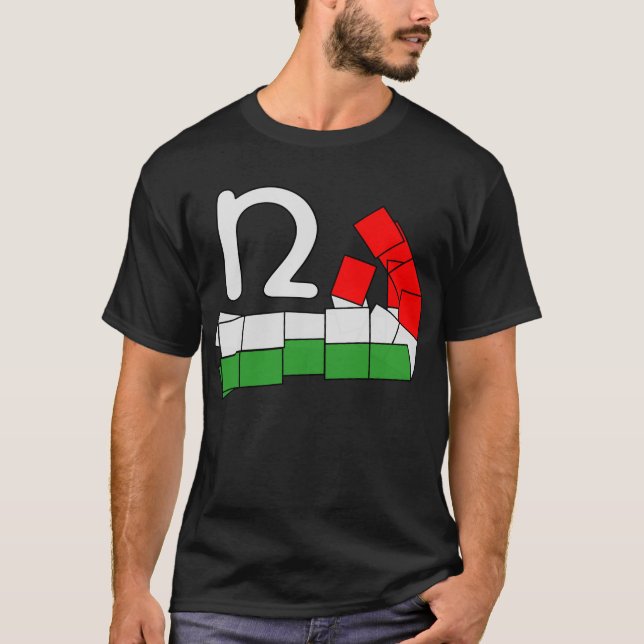 Formas italianas de T-Shirt (Frente)