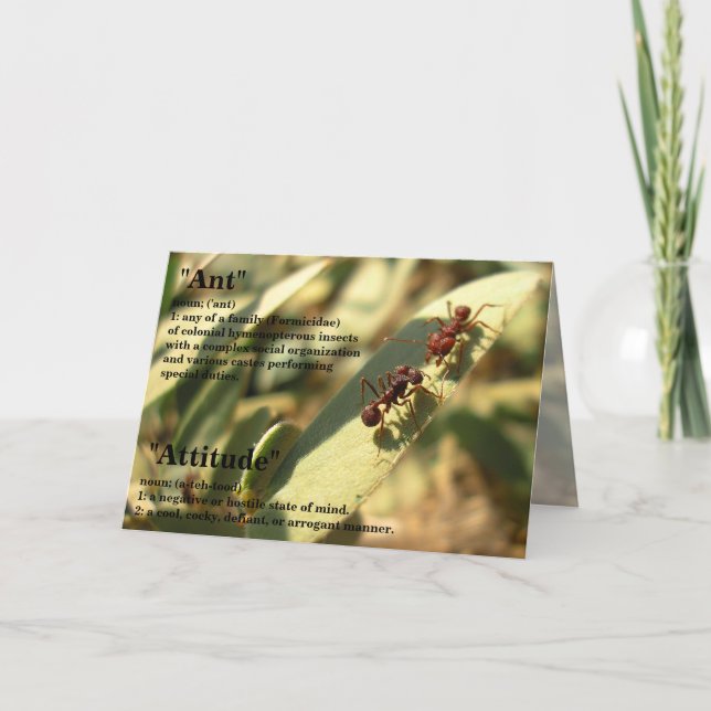 Formigas e atitude - Cartão de saudação nº 2 (Frente)