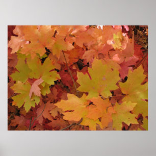 Fornecedor de outono (1) Poster