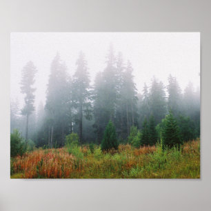 Forrest Fog Pine Trees Valor Poster Papel
