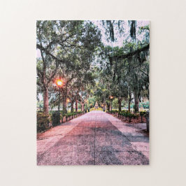 Forsyth Park Evening Quebra-cabeça