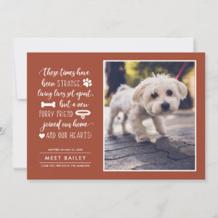 Forte Tempos Novo Anúncio de Foto Pet Laranja