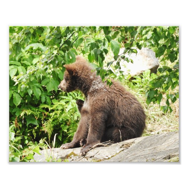 Foto 10" x 8", Kodak Professional Photo Paper (Satin) (Frente)