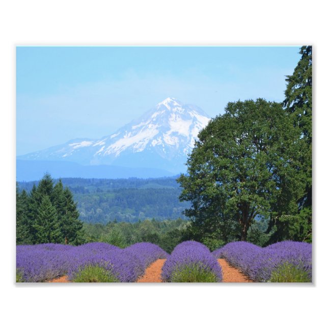 Foto 10" x 8", Kodak Professional Photo Paper (Satin) (Frente)