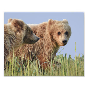 Foto 10" x 8", Kodak Professional Photo Paper (Satin)