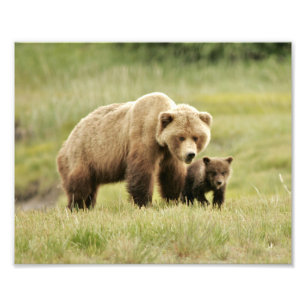 Foto 10" x 8", Kodak Professional Photo Paper (Satin)