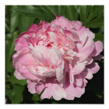 12"x12", cor-de-rosa