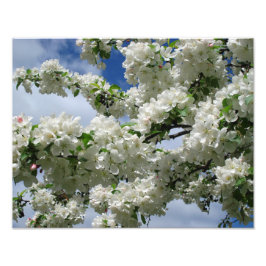 Foto 14"x11" de abacaxi