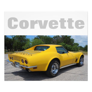 Foto 1975 Corvette Stingray Designer