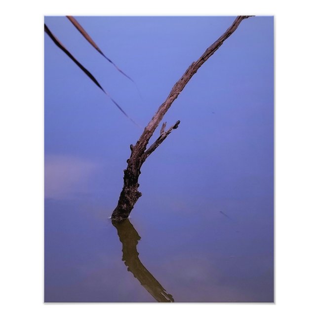 Foto #1-Etang de Scamandre en Camargue.  (Frente)