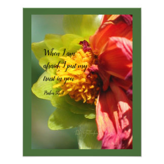 Foto 2024 JW year text Psalm 56:3