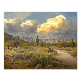 Foto 2729-Arizona Paisagem do Deserto ao Sunset