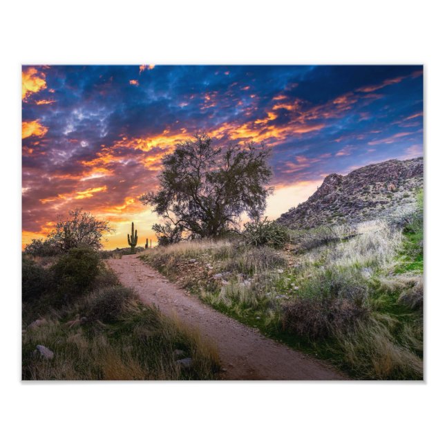 Foto 2815-Desert Landscape at Sunset (Frente)