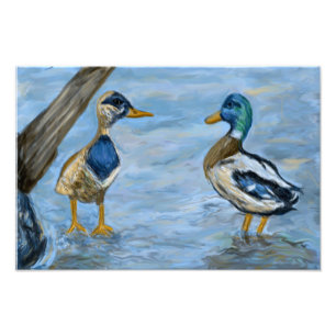 Foto 2 Ducks in A Conversation_0185_n400_tele