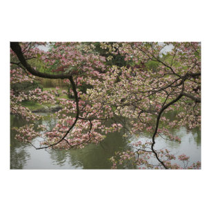 Foto 36"x24" - Lenha