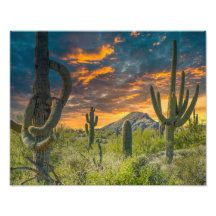 4792-2-Paisagem do Deserto ao Sunset