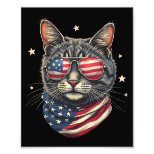 Foto 4 de julho Meowica American Flag Cat