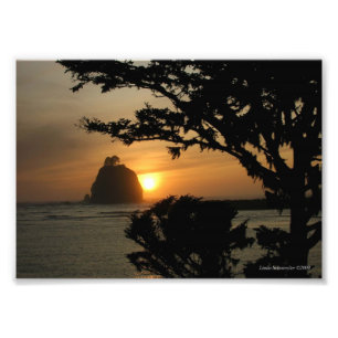 Foto 5X7 La Push, Washington