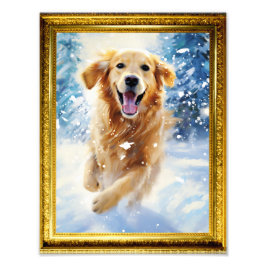 Foto 8,5 x 11 Photo Wall Art Ouro Retriever Dog