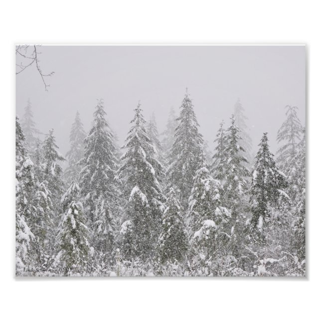 Foto 8X10 Neve Caindo em Árvores Acessíveis (Frente)