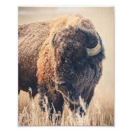 Foto 8x10 Print - Frosty Morning