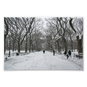 Foto A Alameda, Central Park NY