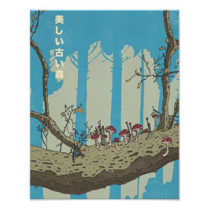 Foto A Bela e Antiga Floresta