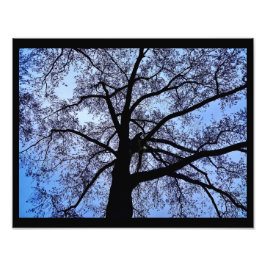 Foto A beleza da natureza