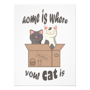 Foto A citação engraçada de Home é onde seu gato está