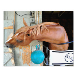 Foto A Fláxia "Todos Incluídos"