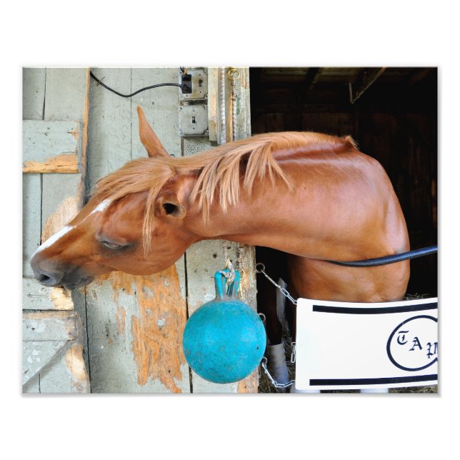 Foto A Fláxia "Todos Incluídos" (Frente)