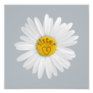 Foto A flor da margarida para a arte da irmã