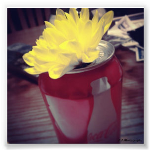 Foto A flor pode dentro