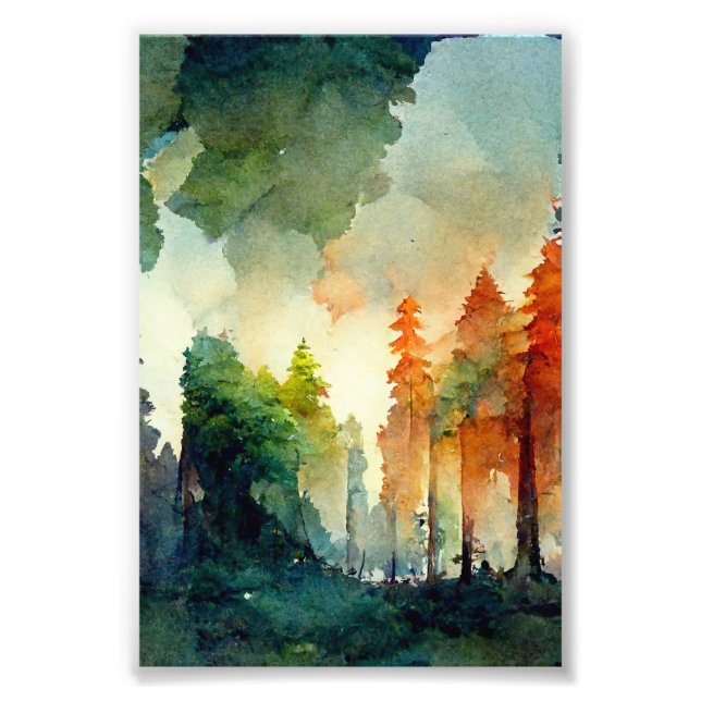 Foto A Floresta (natureza) (Frente)