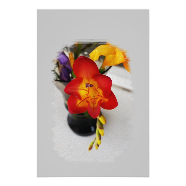 Foto A freesia vermelha (Frente)
