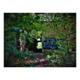 Foto "A Natureza Alega os Esquecidos"