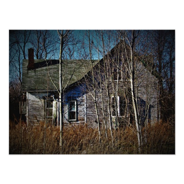 Foto "A Natureza Move-Se" (Frente)