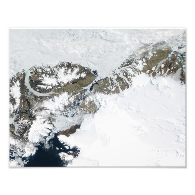 Foto A palha de verão (Frente)