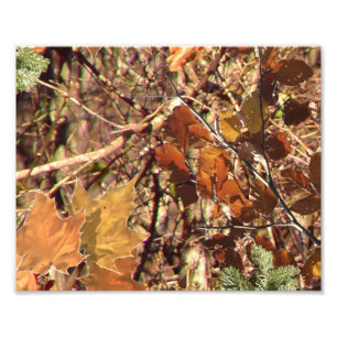 Foto A pintura de Camo Camouflage de Hunter Personaliza