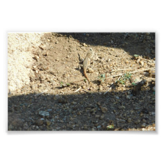 Foto A Procurar Tempo De Sonho