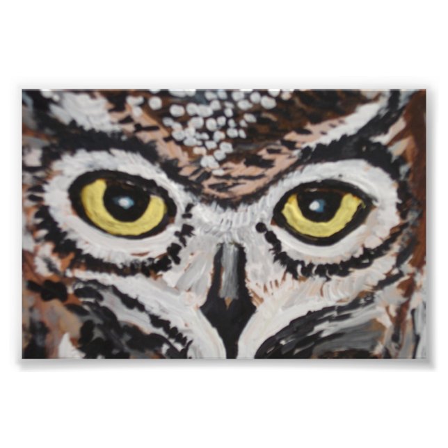 Foto A sábia coruja (Frente)