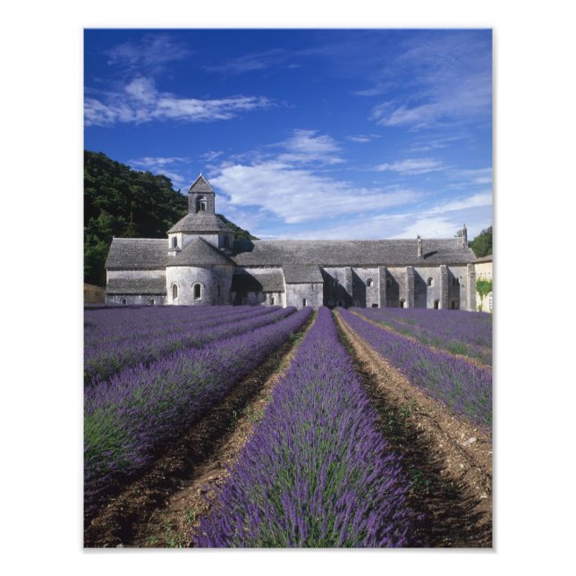 Foto Abadia de Senanque, Gordes, Vaucluse, Provença, (Frente)
