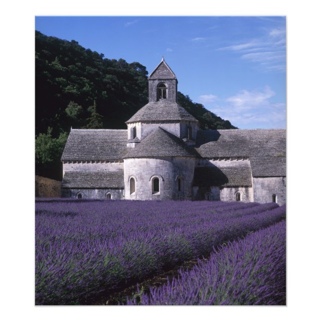 Foto Abadia de Sénanque, Gordes, Vaucluse, Provença, 2 (Frente)