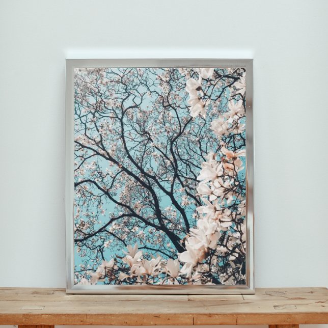 Foto Abaixo da Canopia dos Blossoms (Criador carregado)