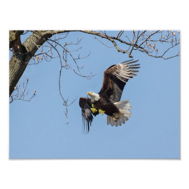 Foto Abastecimento De Edifícios De Águia Balda (Frente)