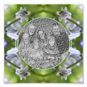 Foto Abeelha Na Flor De Campainha Azul Quadro Crie O Se