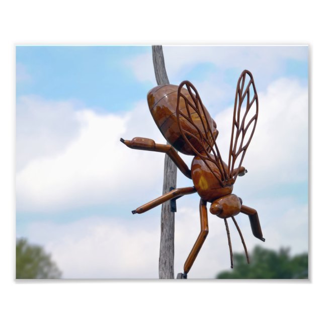 Foto Abelha (Frente)