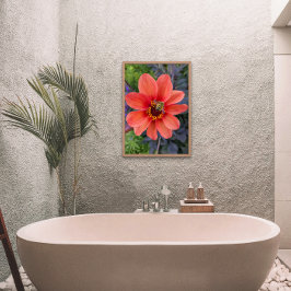 Foto Abelha em Orange Dahlia Bloom Floral