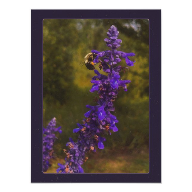 Foto abelha na lavanda (Frente)
