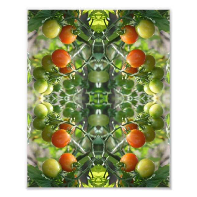 Foto Abstrato de Tomates de Cereja 8x10 (Frente)